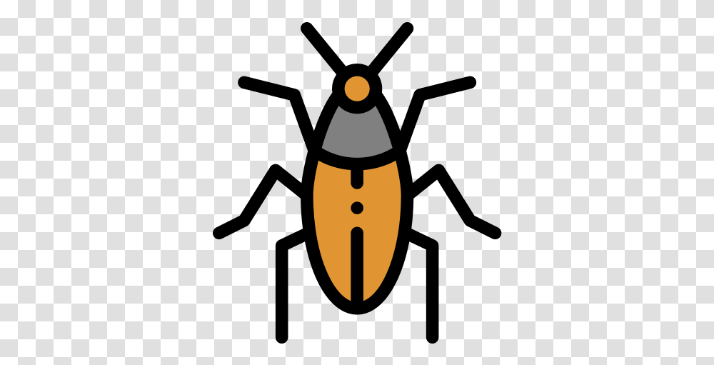 Weevil, Plant, Weapon, Weaponry, Vegetable Transparent Png