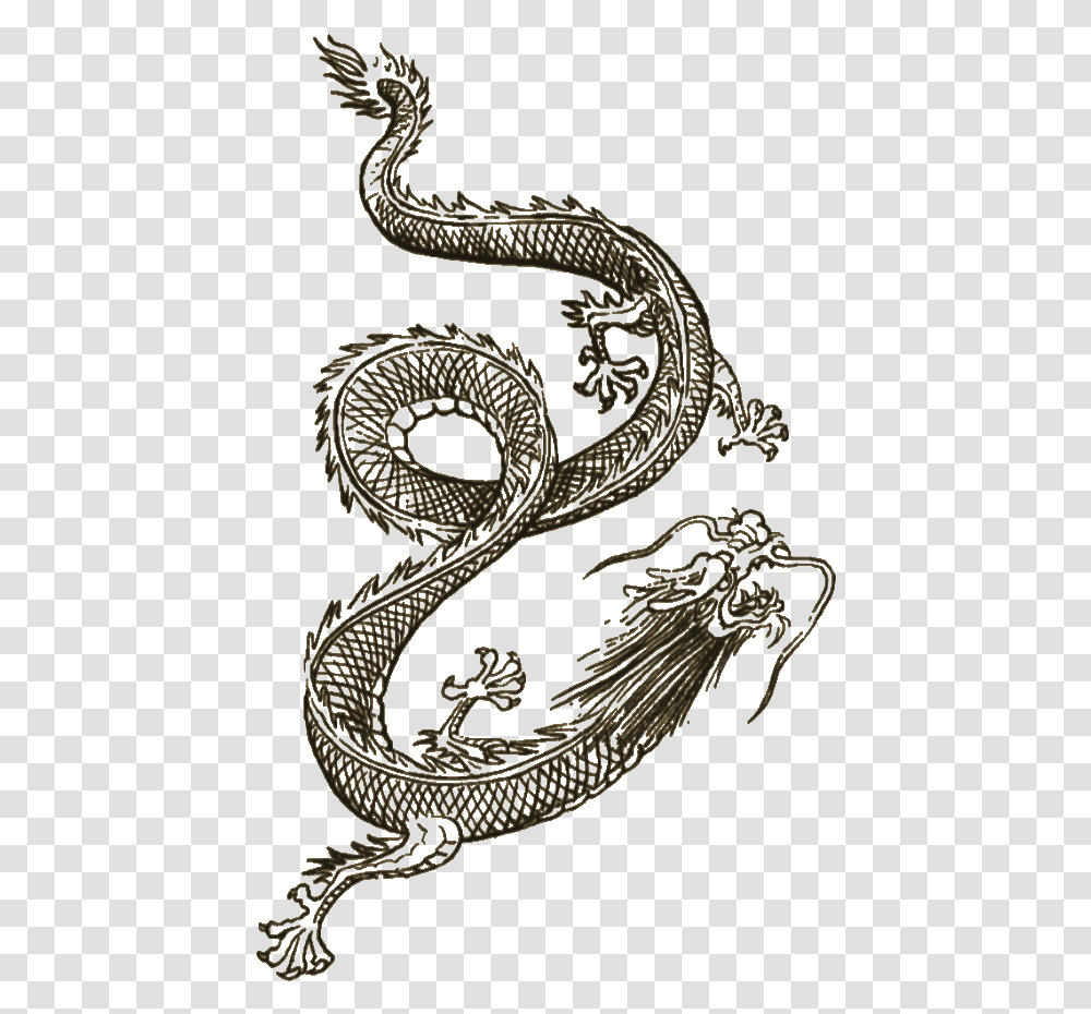 Wei Shen Dragon Tattoo, Snake, Reptile, Animal Transparent Png