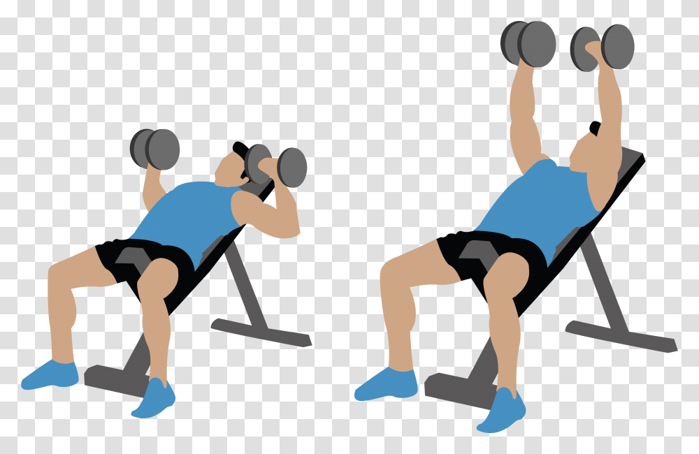 Weight Training, Person, Human, Sport, Sports Transparent Png