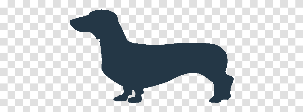 Weiner Dog Icon, Silhouette, Animal, Bird, Mammal Transparent Png