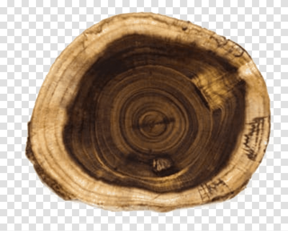 Weinholz Holz Mit Schner Maserung, Wood, Tree Stump, Plant, Rug Transparent Png