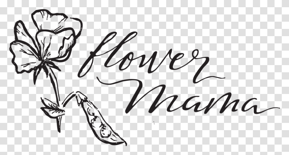 Welcome Flower Download, Calligraphy, Handwriting, Label Transparent Png