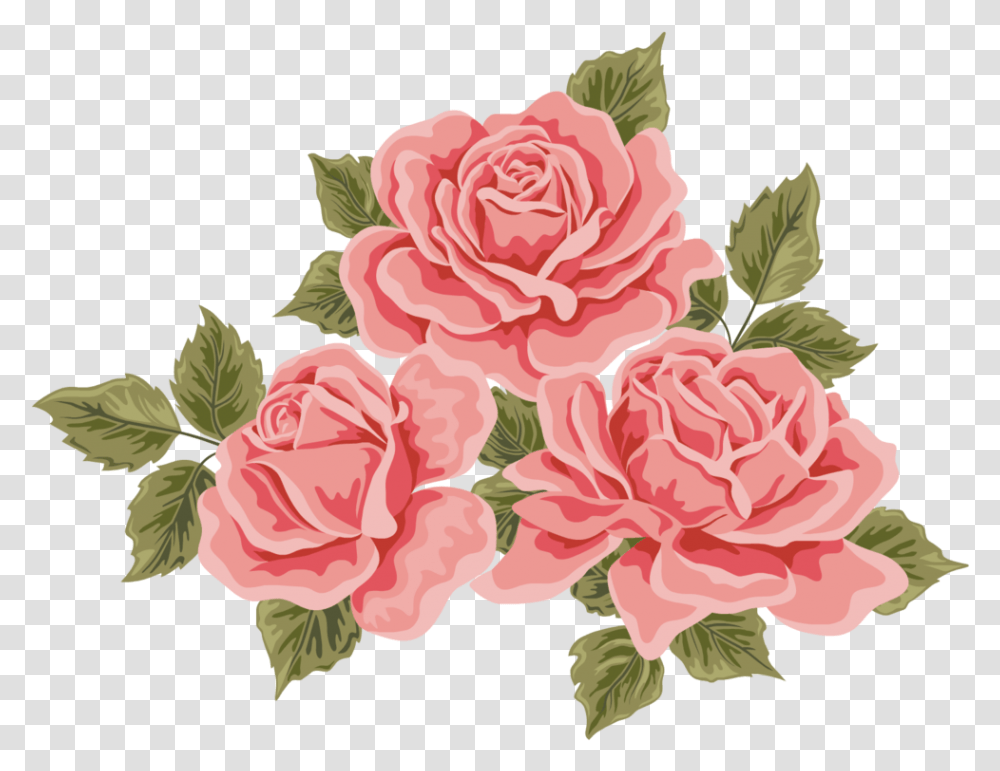 Welcome Rose Happy Mothers Day Artwork, Plant, Flower, Blossom, Carnation Transparent Png