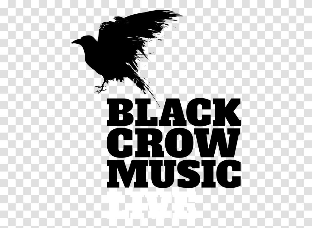 Welcome To Black Crow Music Chicken, Gray Transparent Png