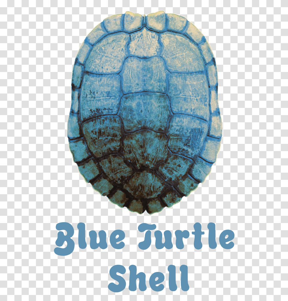 Welcome To Blue Turtle Shell Circle, Sea Life, Animal, Soccer Ball, Tortoise Transparent Png