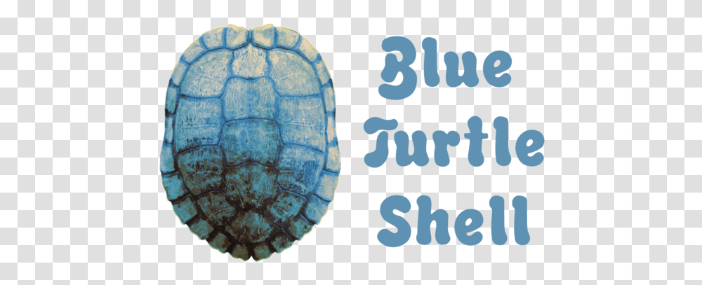 Welcome To Blue Turtle Shell Tortoise, Soccer Ball, Sea Life, Animal, Sea Turtle Transparent Png