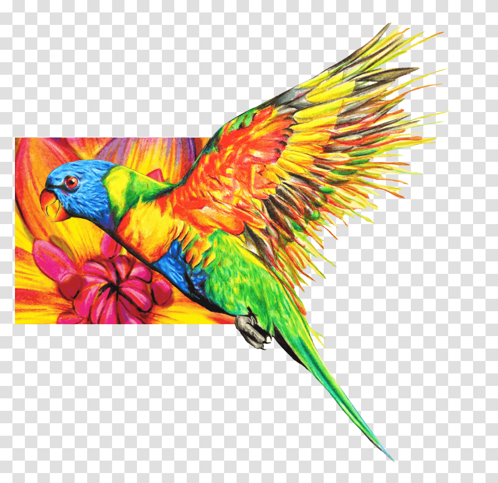 Welcome To Chameleon Art Products Chameleon Pens, Bird, Animal, Parrot, Macaw Transparent Png