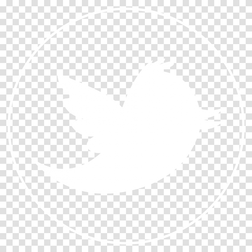 Black Twitter Logo Twitter Bird Animal Dove Pigeon Silhouette Transparent Png Pngset Com