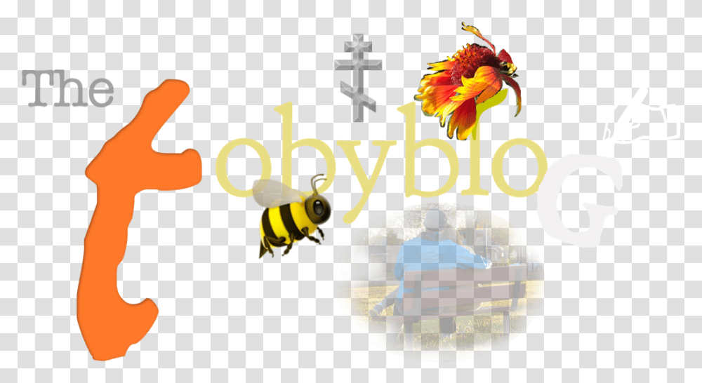 Welcome To My Blog Honeybee, Person, Bench, Furniture, Outdoors Transparent Png