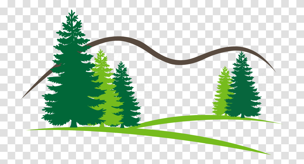 Welcome To Open Canopy Tree & Landscape Open Canopy Tree Pine Tree Silhouette Vector, Plant, Ornament, Grass, Fir Transparent Png