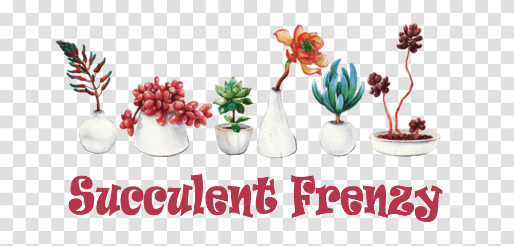 Welcome To Succulent Frenzy Online Store Succulents Online Store, Plant, Pattern, Pottery Transparent Png
