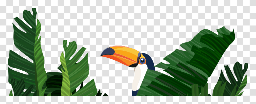 Welcome To The Ecommerce Jungle Banana Leaves Background Hd Border, Beak, Bird, Animal, Toucan Transparent Png