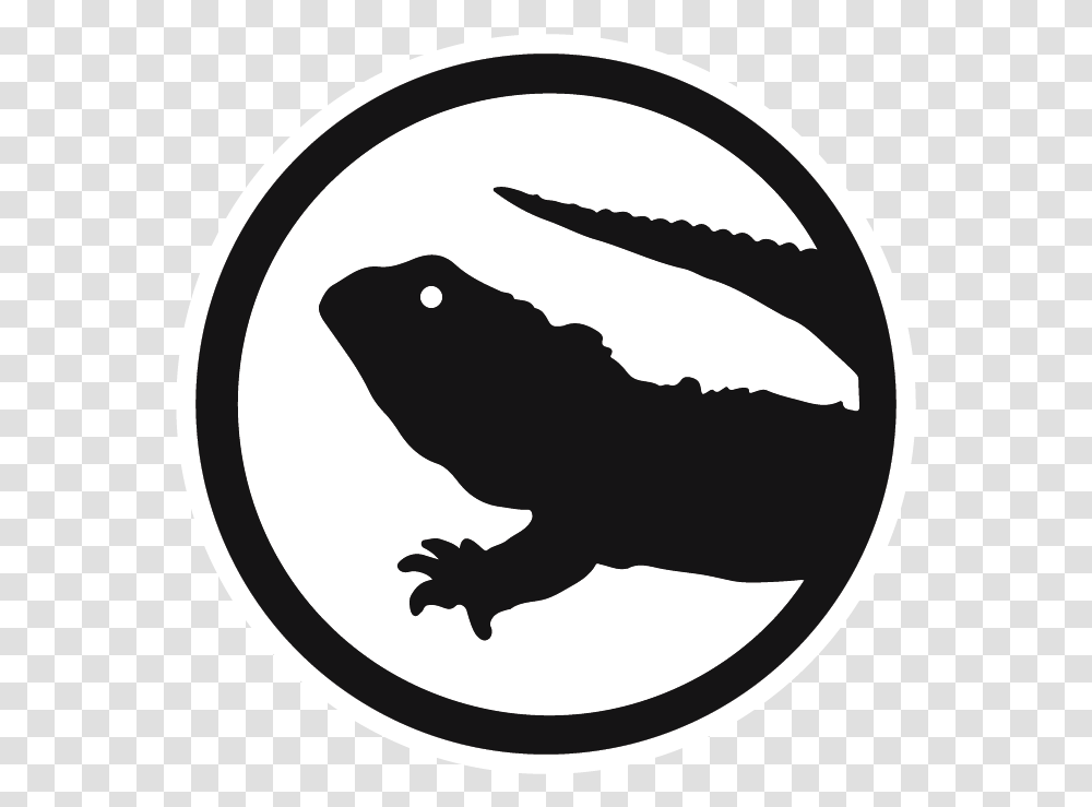 Welcome To Tuataria Tuataria A Discord Community Of Turtles All The Way Down Tuatara, Animal, Amphibian, Wildlife, Reptile Transparent Png