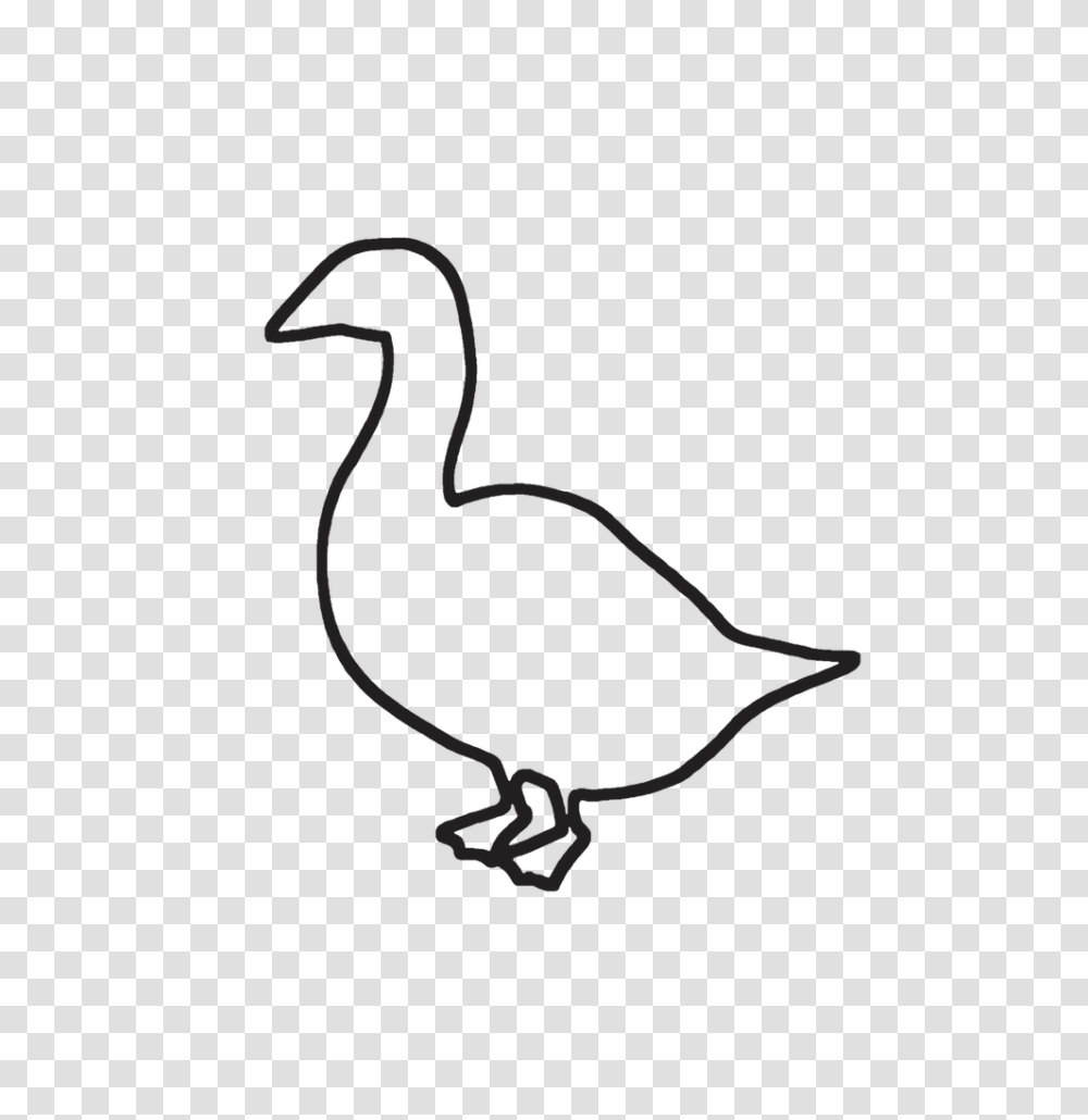 Welcome, Waterfowl, Bird, Animal, Snake Transparent Png