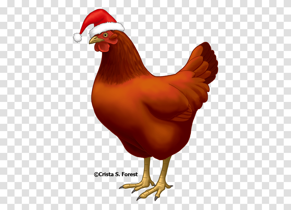 Well Looks Are Deceiving Chicken With Santa Hat, Hen, Poultry, Fowl, Bird Transparent Png
