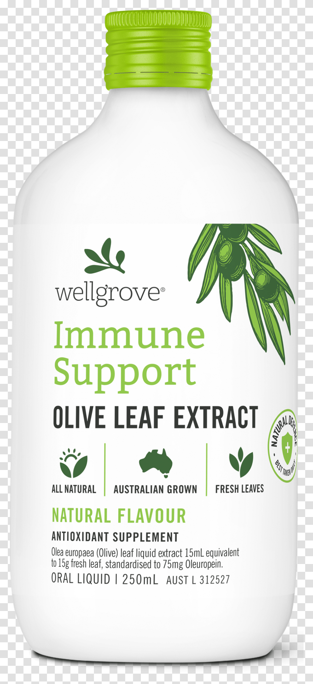 Wellgrove Immune Support Olive Leaf Extract, Flyer, Poster, Paper, Advertisement Transparent Png