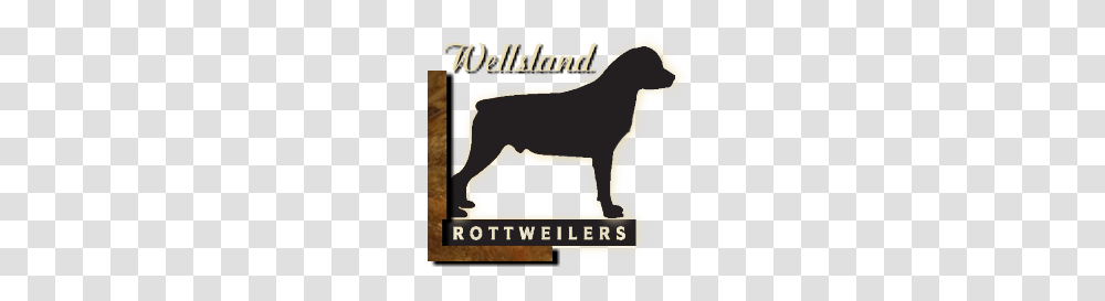 Wellslands Rottweilers, Poster, Advertisement, Paper, Animal Transparent Png