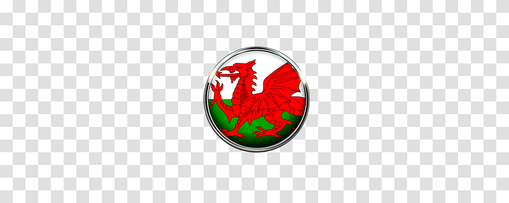 Welsh Symbol, Emblem, Logo, Trademark Transparent Png