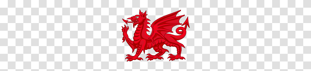 Welsh Dragon Transparent Png