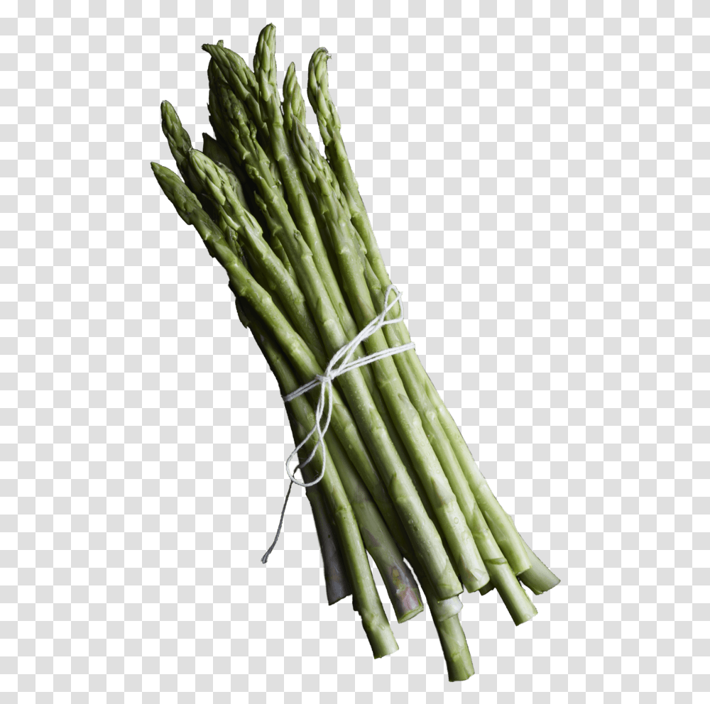 Welsh Onion, Plant, Vegetable, Food, Asparagus Transparent Png