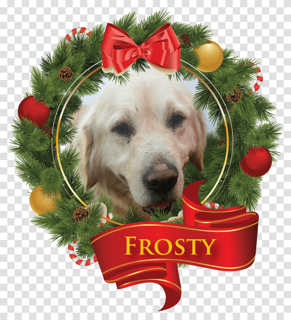 Wendy's Frosty New Year, Envelope, Mail, Canine, Mammal Transparent Png