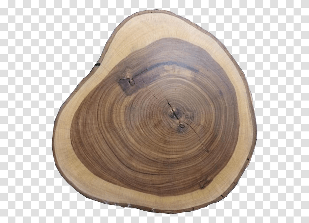 Wenge Plywood, Tree Stump, Rug Transparent Png