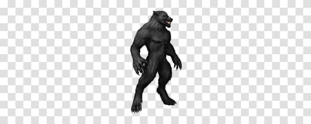 Werewolf Emotion, Ape, Wildlife, Mammal Transparent Png