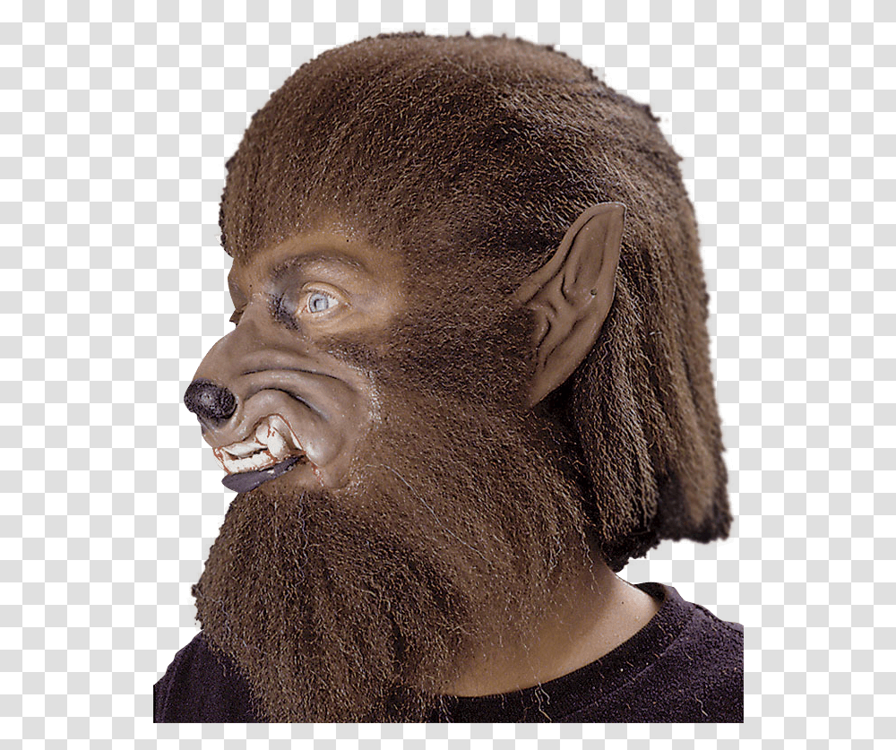 Werewolf Ears, Head, Hair, Bronze, Person Transparent Png