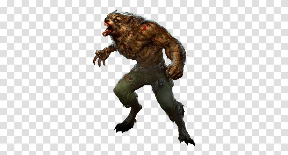 Werewolf, Fantasy, Alien, Person, Animal Transparent Png