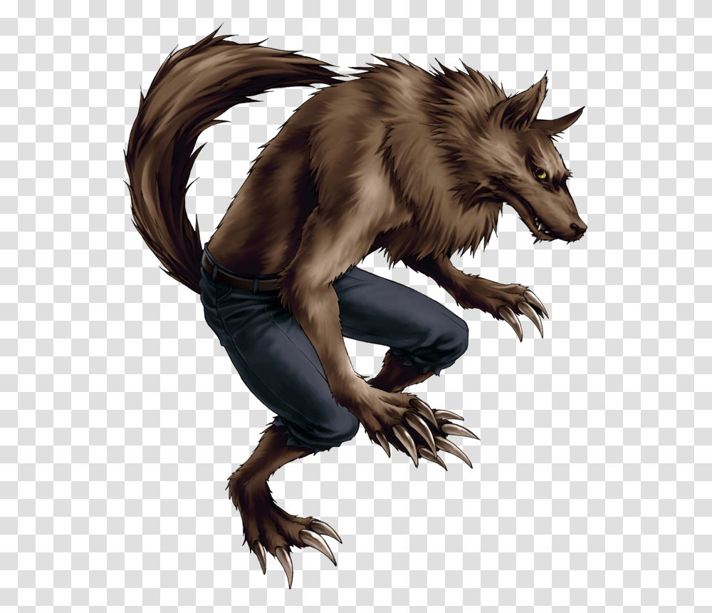 Werewolf, Fantasy, Animal, Mammal, Wildlife Transparent Png
