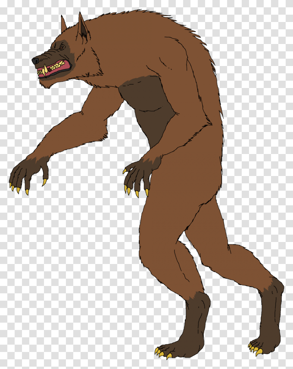 Werewolf, Fantasy, Animal, Mammal, Wildlife Transparent Png