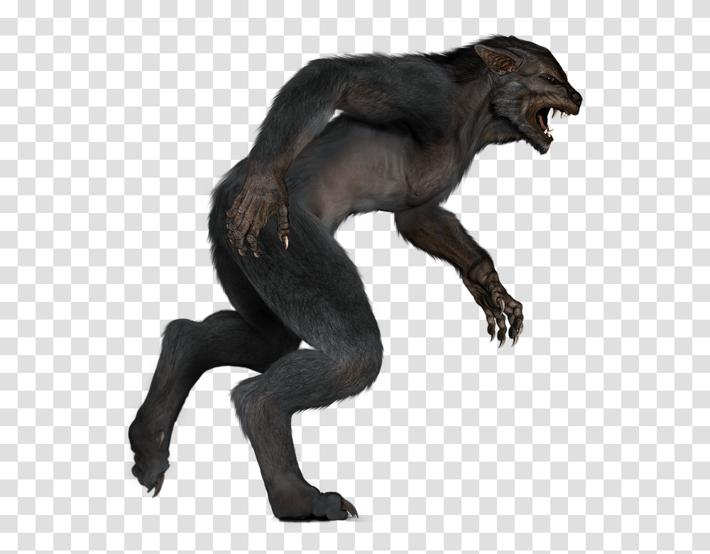 Werewolf, Fantasy, Animal, Wildlife, Mammal Transparent Png