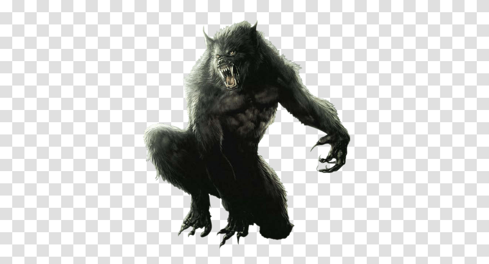 Werewolf, Fantasy, Ape, Wildlife, Mammal Transparent Png