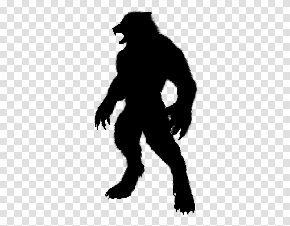 Werewolf, Fantasy, Gray, World Of Warcraft Transparent Png