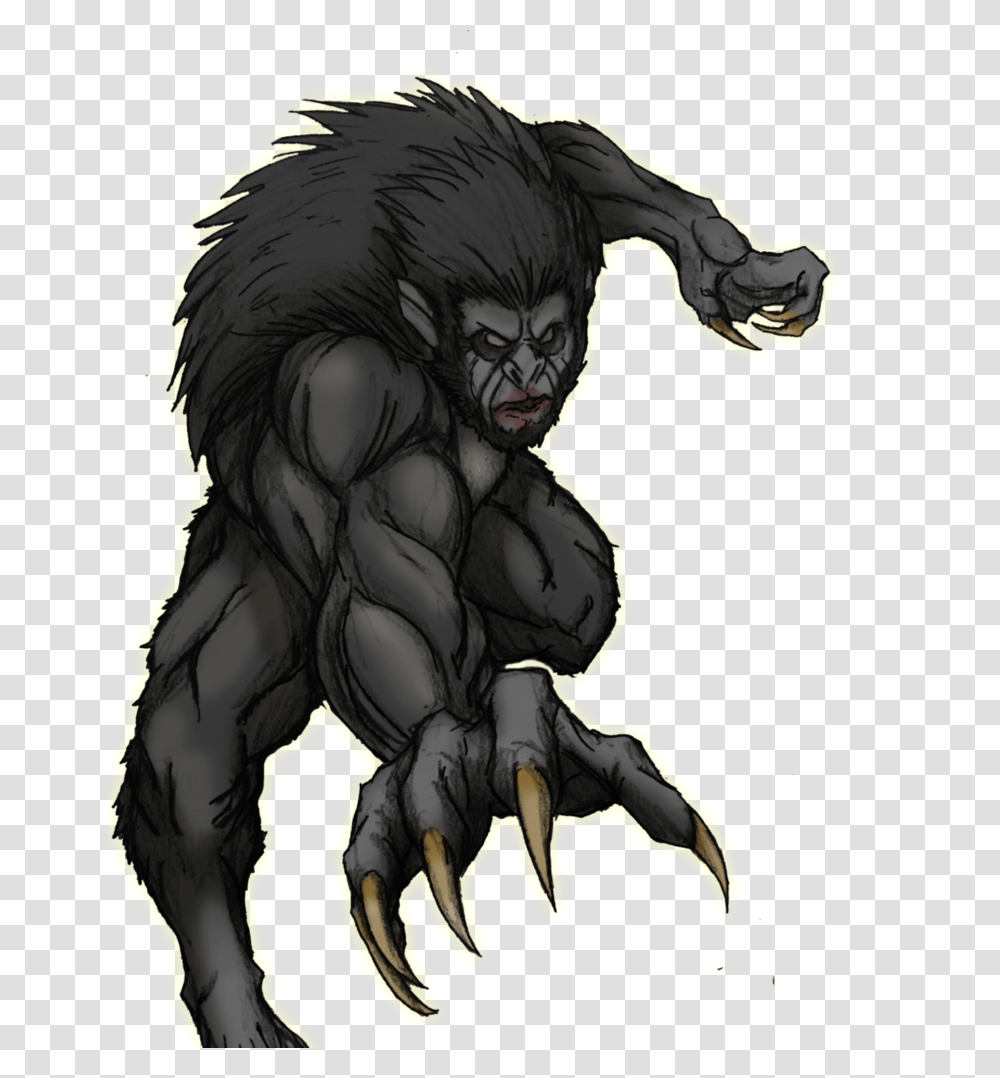 Werewolf, Fantasy, Hook, Ape, Wildlife Transparent Png