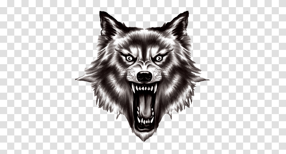 Werewolf, Fantasy, Mammal, Animal, Cat Transparent Png