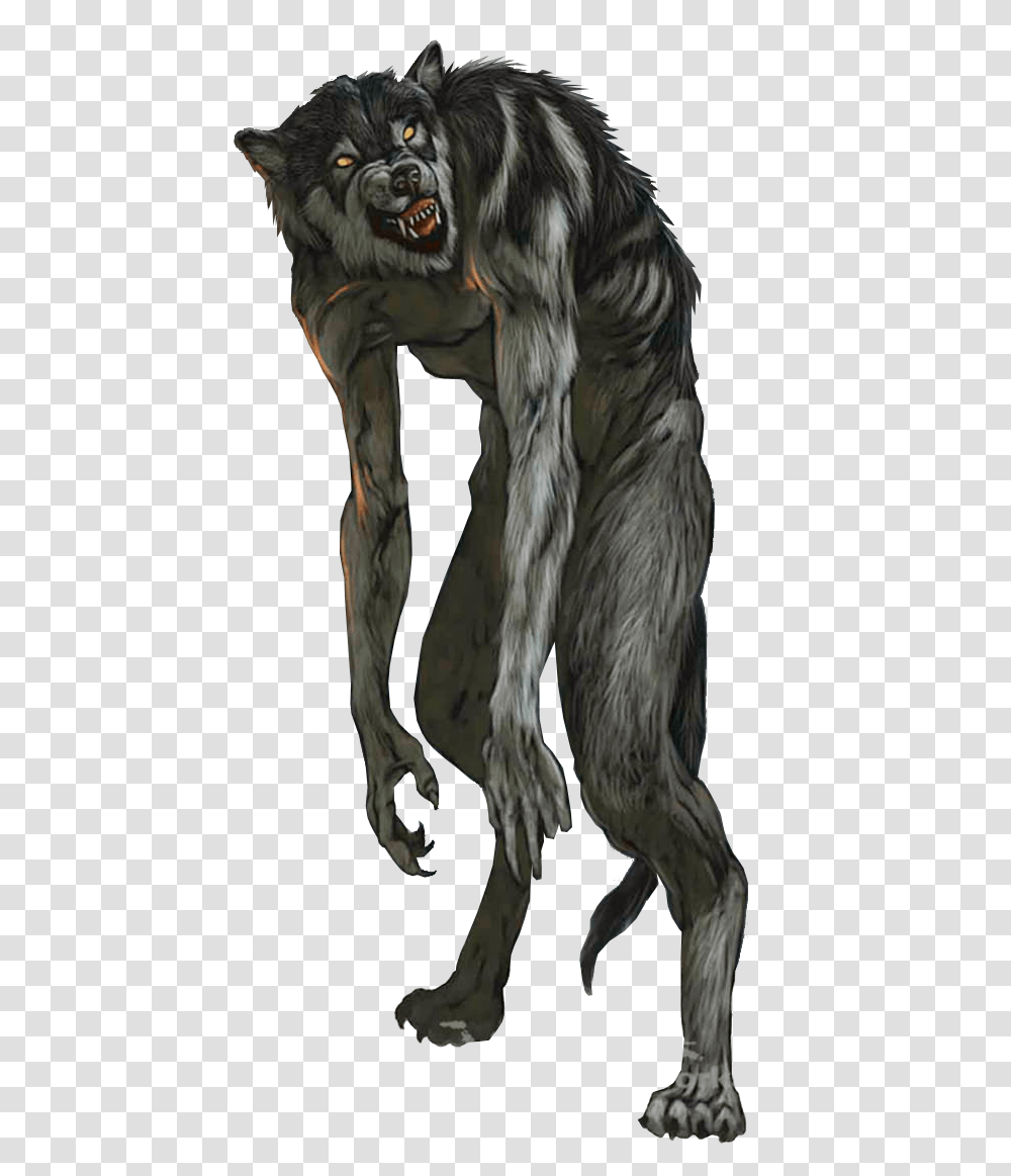 Werewolf, Fantasy, Mammal, Animal Transparent Png