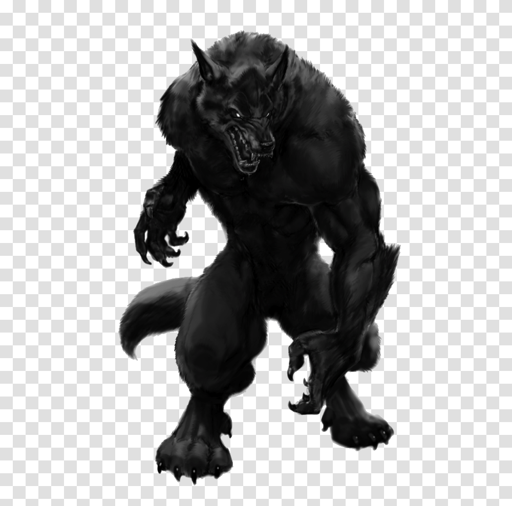 Werewolf, Fantasy, Mammal, Animal, Wildlife Transparent Png