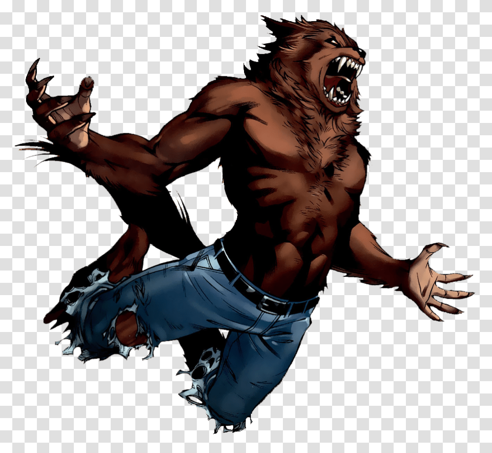 Werewolf, Fantasy, Person, Human, Animal Transparent Png