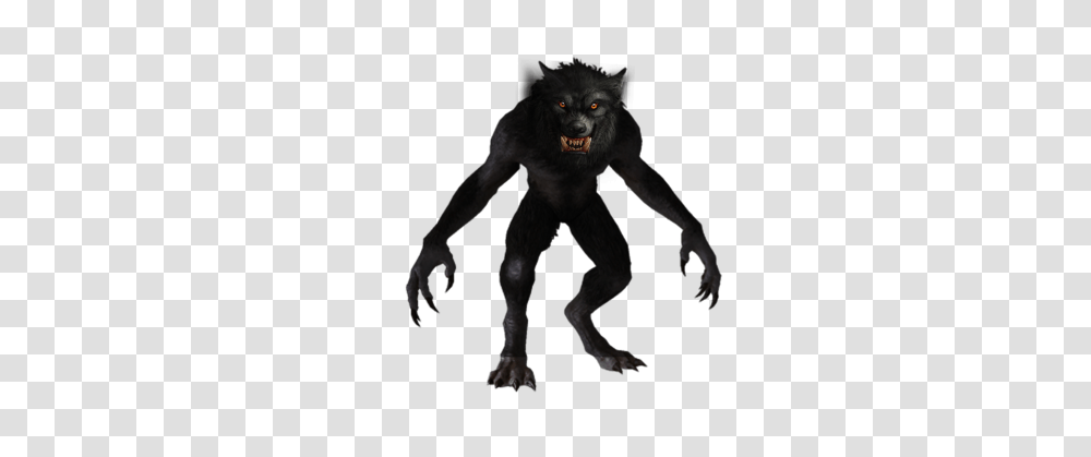 Werewolf, Fantasy, Wildlife, Animal, Dog Transparent Png