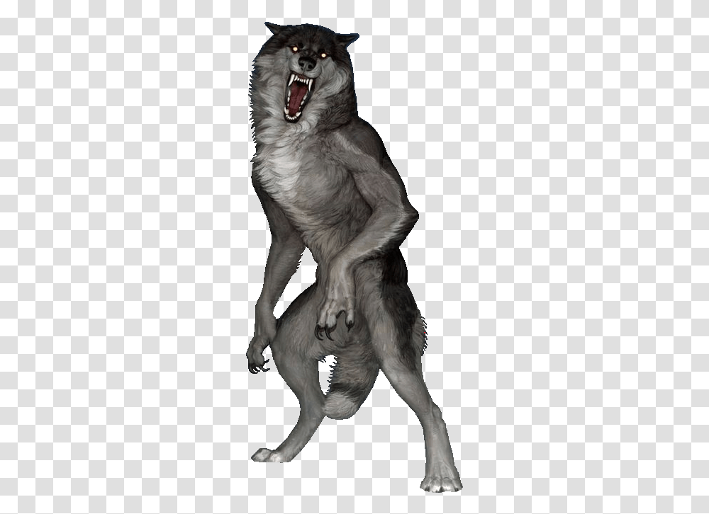 Werewolf Wolf Lycanthrope Freetoedit Sticker By Bincent Cat Yawns, Mammal, Animal, Wildlife, Dog Transparent Png