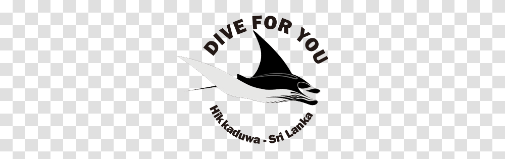 West Coast Dive For You, Manta Ray, Sea Life, Fish, Animal Transparent Png