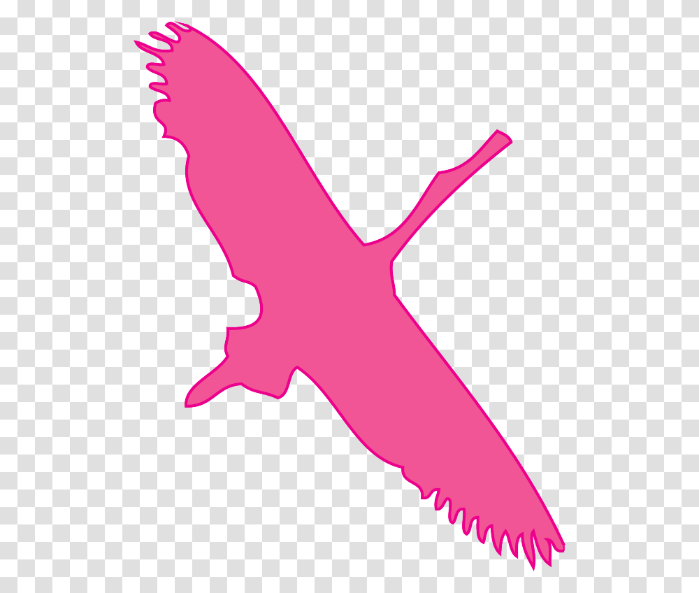 West Indian Manatee Clipart Download, Logo, Animal, Bird Transparent Png