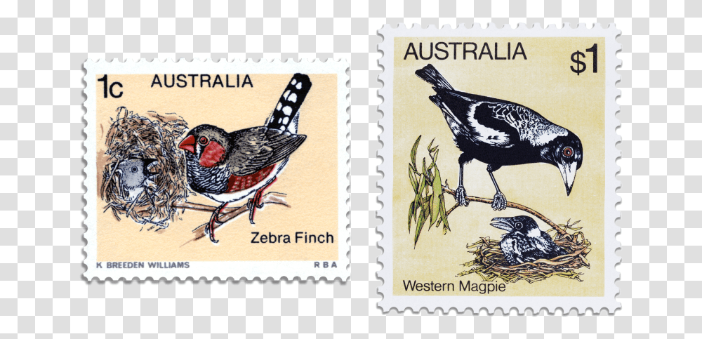Western Australia Postage Stamps, Bird, Animal Transparent Png
