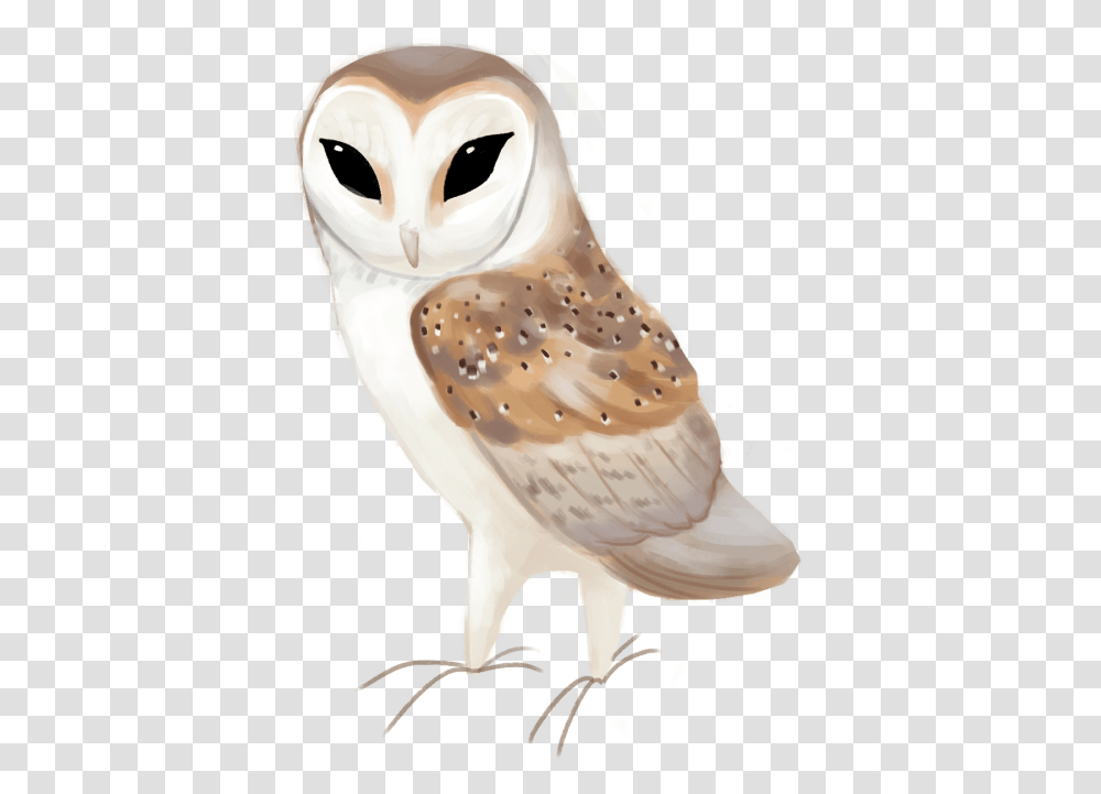 Western Barn Owl Tyto Alba Barn Owl Clipart, Bird, Animal, Snowman, Winter Transparent Png