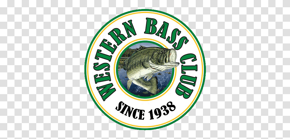 Western Bass Club Largemouth Bass, Label, Text, Fish, Animal Transparent Png