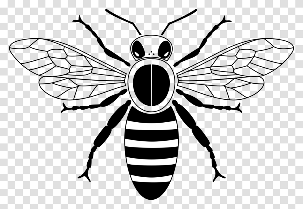 Western Honey Bee Insect Drawing Beehive, Lamp, Wasp, Invertebrate, Animal Transparent Png