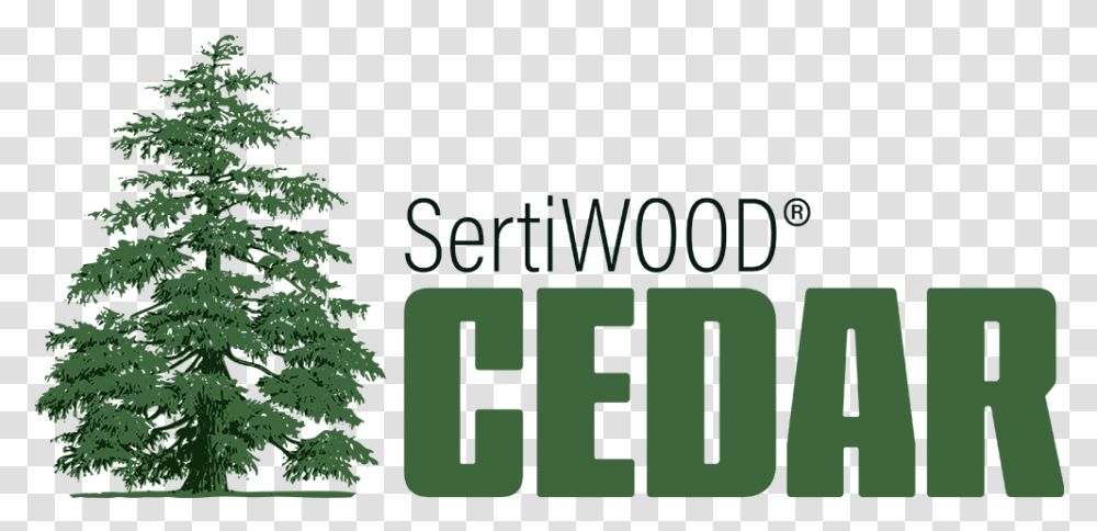 Western Red Cedar Alternative Deodar Or Himalayan Cedar, Tree, Plant, Text, Conifer Transparent Png