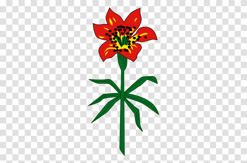 Western Red Lily Saskatchewan Clip Art, Plant, Flower, Blossom Transparent Png