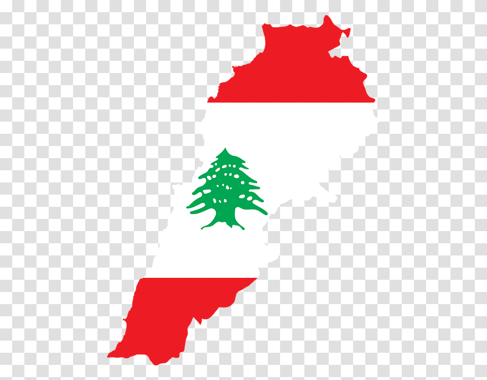 Western Sydney U Lib Lebanon Flag, Person, Tree, Plant, Graphics Transparent Png